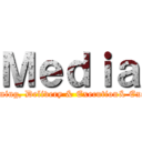 Ｍｅｄｉａ (Decisioning, Delivery & Execution& Execution)