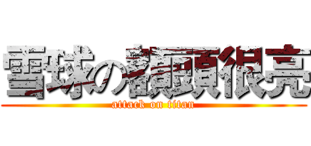 雪球の額頭很亮 (attack on titan)