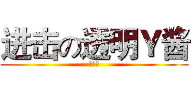进击の透明Ｙ酱 (小丘丘)