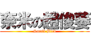 奈米の趙俊萎 (Small Bird)