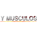 Ｙ ＭＵＳＣＵＬＯＳ (morfologia)