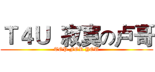 Ｔ４Ｕ  寂寞の卢哥 (TOP FOR YOU)