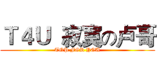 Ｔ４Ｕ  寂寞の卢哥 (TOP FOR YOU)