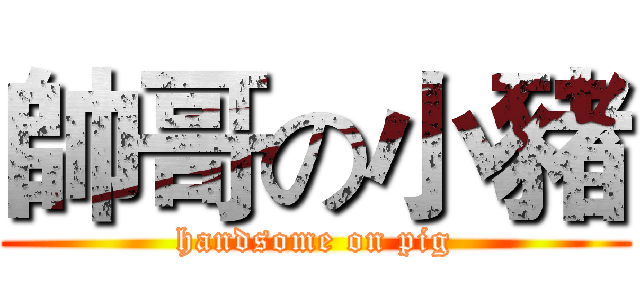 帥哥の小豬 (handsome on pig)