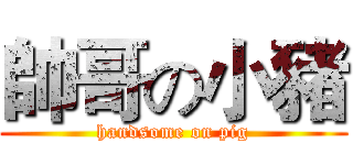 帥哥の小豬 (handsome on pig)