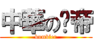 中華の騜帝 (bumbler)