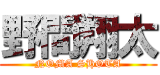 野間翔太 (NOMA SHOTA)