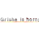 Ｇｒｉｓｈａ ｉｓ ｈｏｒｎｙ (attack on titan)