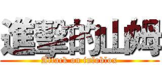 進擊的山姆 (Attack on infoblox)