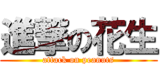 進撃の花生 (attack on peanuts)