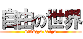 自由の世界 (nannzya korya)