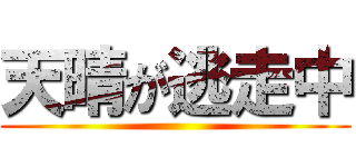 天晴が逃走中 ()