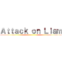 Ａｔｔａｃｋ ｏｎ Ｌｉａｍ ()