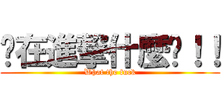 你在進撃什麼啦！！ (What the fuck)