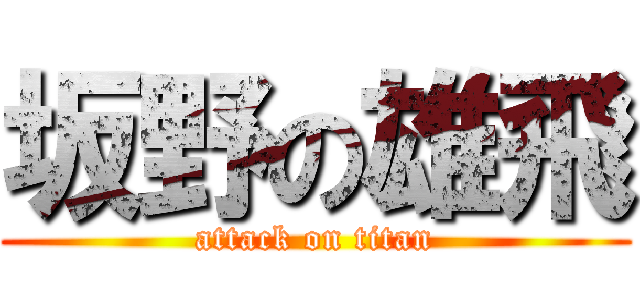 坂野の雄飛 (attack on titan)