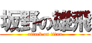 坂野の雄飛 (attack on titan)