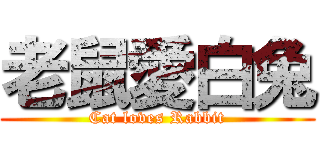老鼠愛白兔 (Cat loves Rabbit)