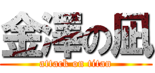 金澤の凪 (attack on titan)