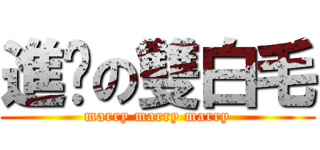 進擊の雙白毛 (marry marry marry)