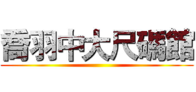 喬羽中大尺碼館 ()