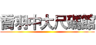 喬羽中大尺碼館 ()