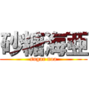 砂糖海亜 (sugar noa)