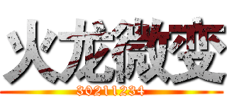 火龙微变 (30211234)