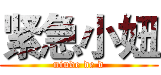 紧急小妞 (niude de d)