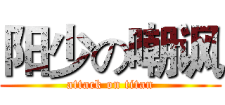 阳少の嘲讽 (attack on titan)