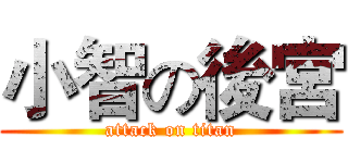 小智の後宮 (attack on titan)