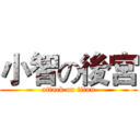 小智の後宮 (attack on titan)