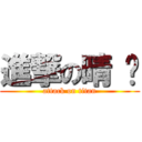 進撃の晴 旼 (attack on titan)