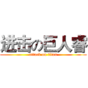 进击の巨人睿 (attack on titan)