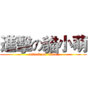 進擊の貓小萌 (attack on titan)