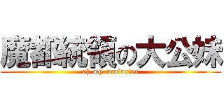 魔都統領の大公妹 (oh my comforter)