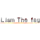 Ｌｉａｍ Ｔｈｅ ｆａｇ (attack on liam)
