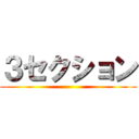 ３セクション ()