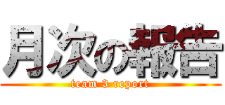 月次の報告 (team 3 report)