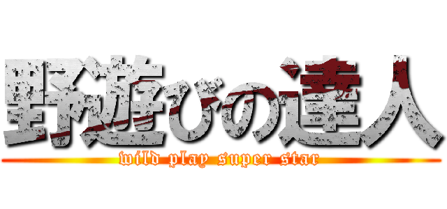 野遊びの達人 (wild play super star)