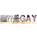 聽說你是ＧＡＹ (You are GAY)