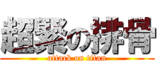 超緊の排骨 (attack on titan)