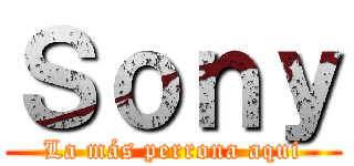 Ｓｏｎｙ (La más perrona aqui)