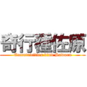 奇行種佐原 (Eccentricities kind Sawara)