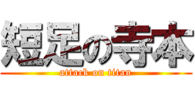 短足の寺本 (attack on titan)