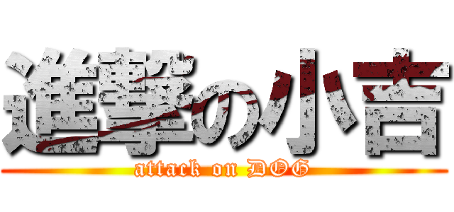 進撃の小吉 (attack on DOG)
