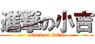 進撃の小吉 (attack on DOG)