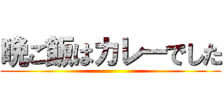 晩ご飯はカレーでした ()