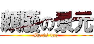 頗廢の景元 (she is dog)