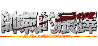 帥氣的展鐸 (Nelson is handsome)