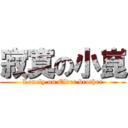 寂寞の小崑 (Lonely on Elder brother)